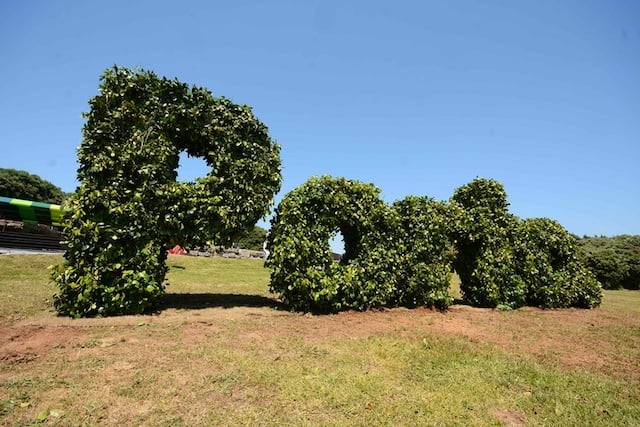Parque da Cidade no Porto Parque da Cidade no Porto