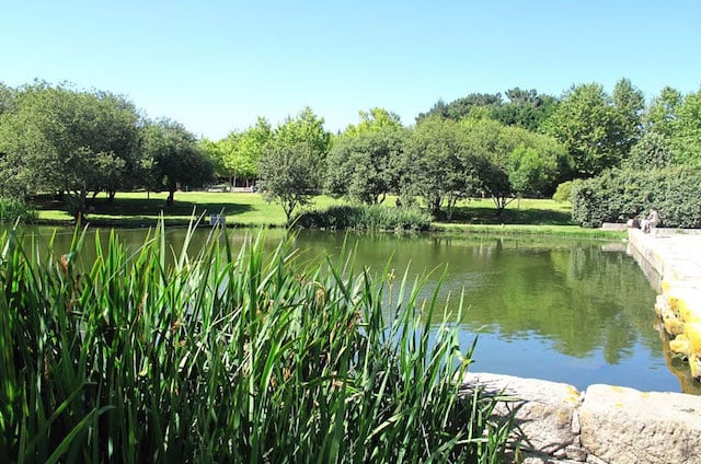 Lago no Parque da Cidade Lago no Parque da Cidade