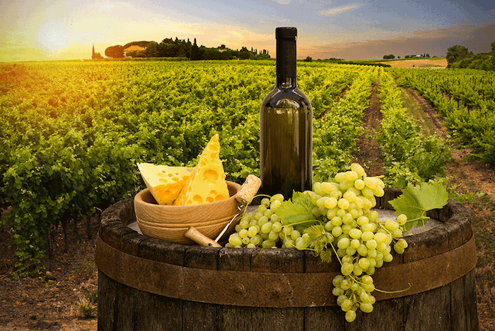 Vinícolas em Lisboa Vinícolas em Lisboa