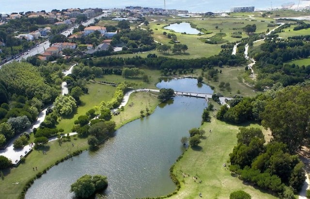 Parque da Cidade no Porto Parque da Cidade no Porto