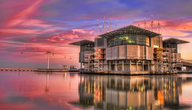 Oceanário de Lisboa Oceanário de Lisboa