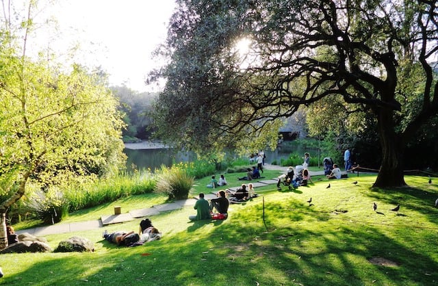 Jardins do Gulbenkian em Lisboa Jardins do Gulbenkian em Lisboa