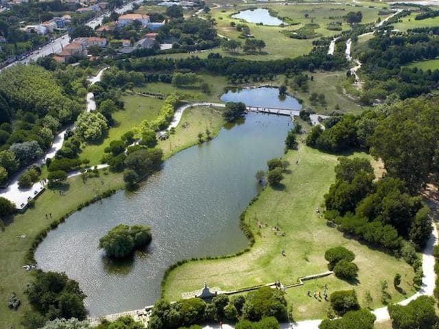 Parque da Cidade no Porto Parque da Cidade no Porto